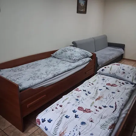 U Ani *